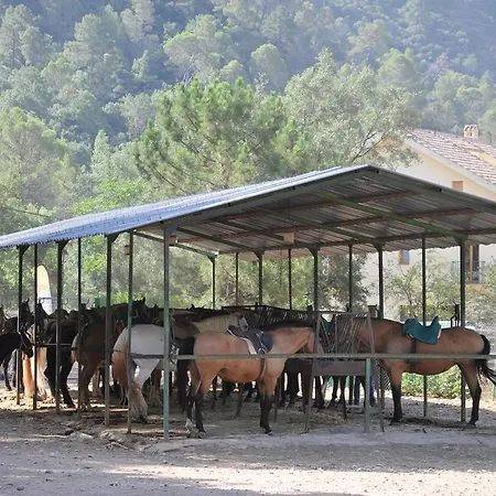 Rural Tejerina * Arroyo Frío