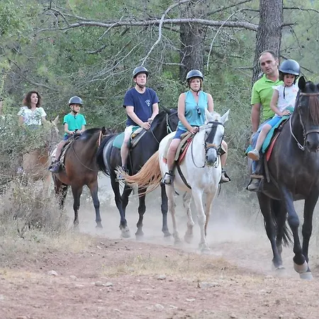 Rural Tejerina Agroturismo *