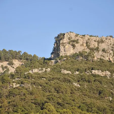 Rural Tejerina